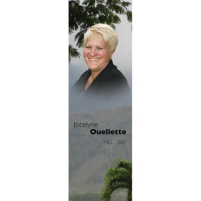 Signet - Brouillard en montagne