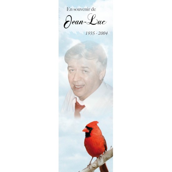 Signet - Cardinal Signet - Cardinal