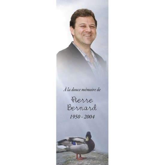 Signet - Canard Signet - Canard