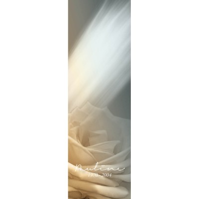 Signet - Lumière 