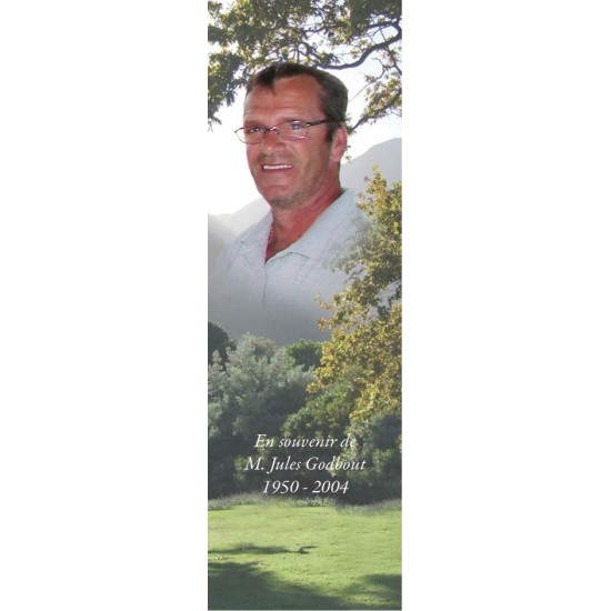 Signet - Arbre montagne 