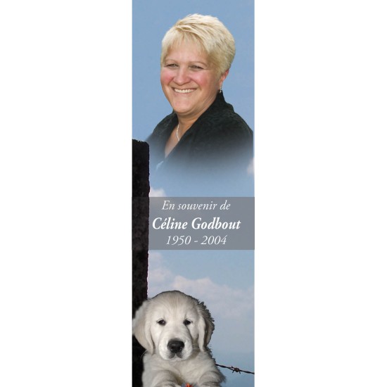 Signet - Chien Signet - Chien